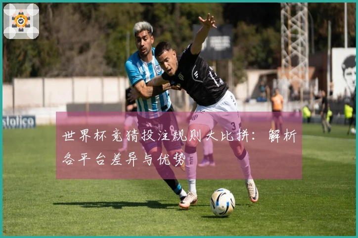 世界杯竞猜投注规则大比拼：解析各平台差异与优势