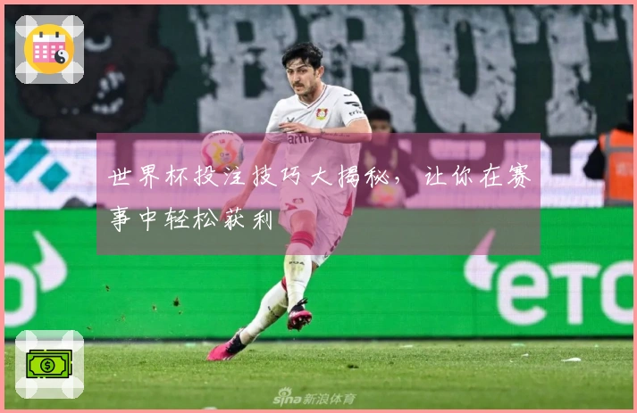 世界杯投注技巧大揭秘，让你在赛事中轻松获利
