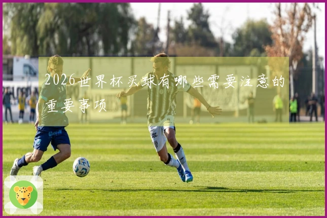 2026世界杯买球有哪些需要注意的重要事项