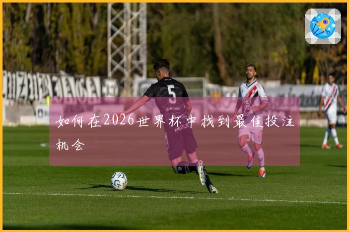 如何在2026世界杯中找到最佳投注机会