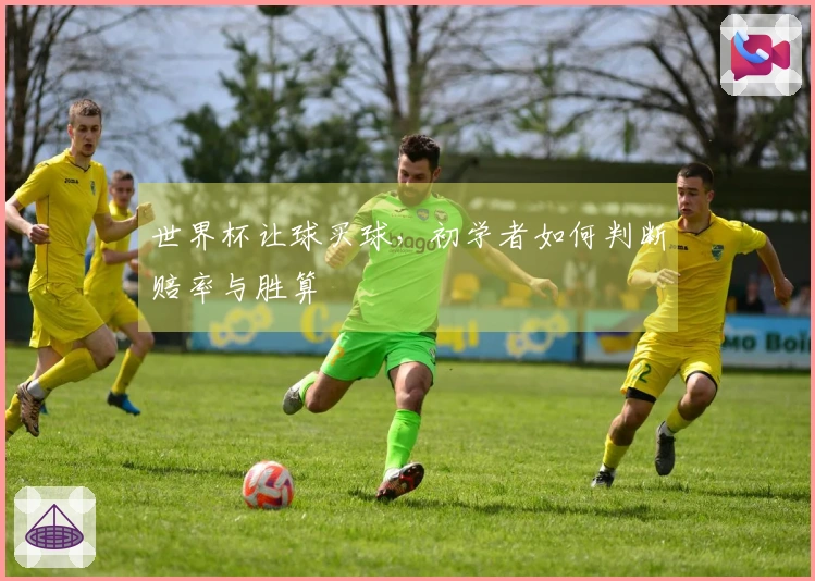 世界杯让球买球，初学者如何判断赔率与胜算